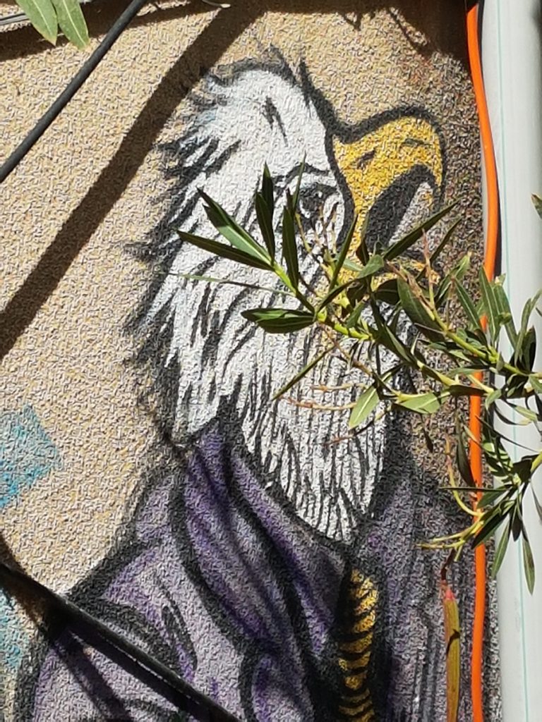 אומנות רחוב, גרפיטי חיפה, דרור הדדי, דודו גרפיטי Street art, graffiti in Haifa, Dror hadadi, DODO Graffiti